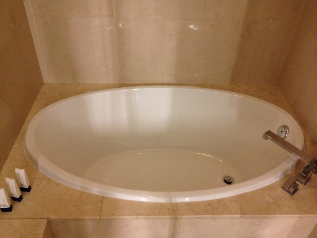 Aria Bathroom 4