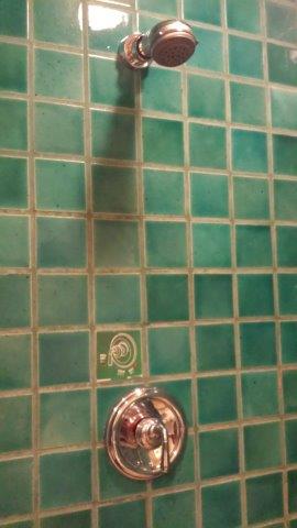Shower head. Kind of weak.