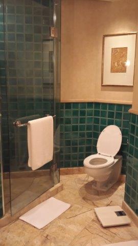 Toilet and Shower
