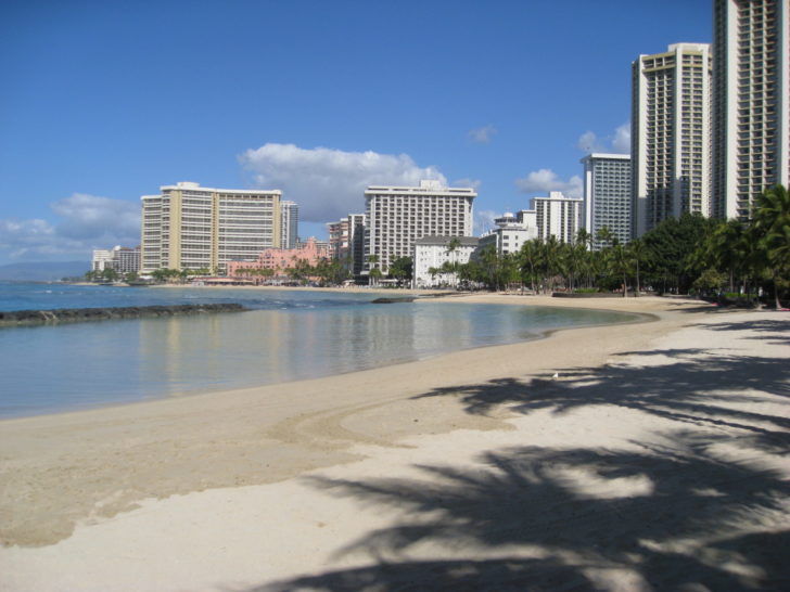 a beach with buildings and trees