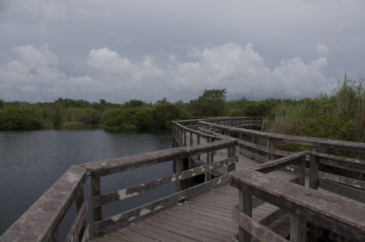 a wooden bridge over water