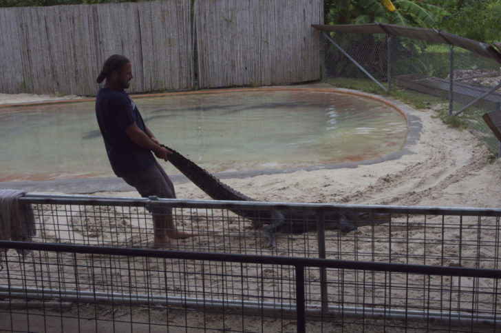 a man holding an alligator in sand
