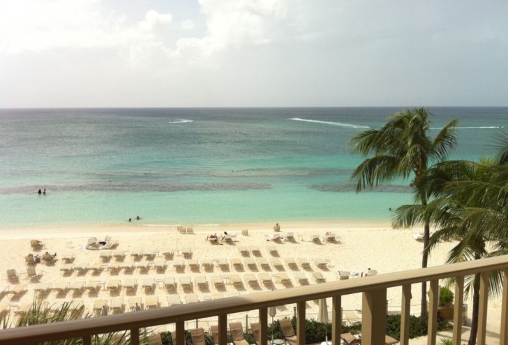 a beach with chairs and palm trees
