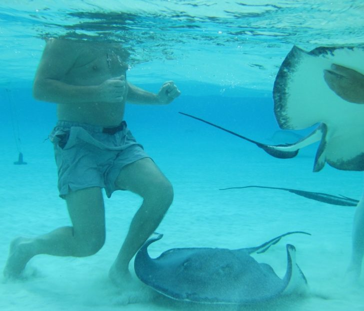a man in shorts and a stingray swimming in the water