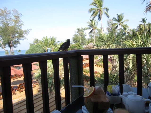 a bird perched on a railing