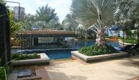 a pool with a fountain and palm trees