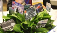 a close-up of a plant with credit cards