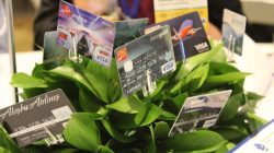 a close-up of a plant with credit cards
