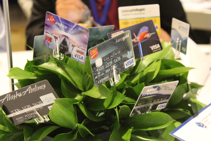 a close-up of a plant with credit cards