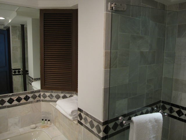 grand_hyatt_erewan_shower