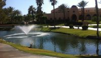 a fountain in a pond with palm trees and a building in the background