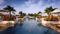 a swimming pool with palm trees and chairs
