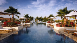a swimming pool with palm trees and chairs