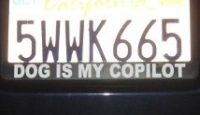 a license plate on a car