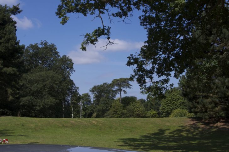 a grassy field with trees and blue sky