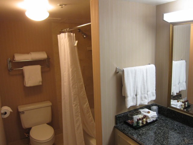 NOLA_Sheraton_bath