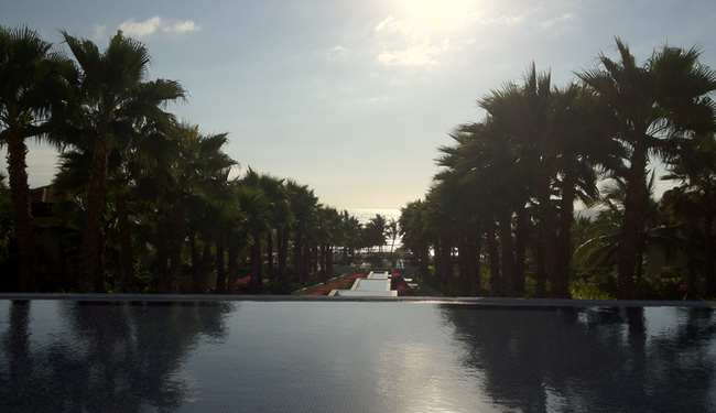 a pool with palm trees and a walkway