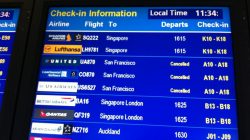 Virgin Australia Domestic Arrival in Sydney, V Australia Check-in, and the Air New Zealand Lounge