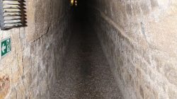 Tour of the Paris Catacombs Museum