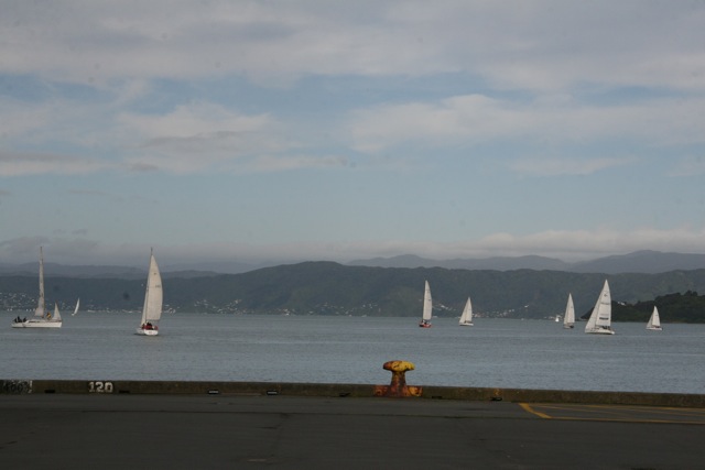 WLG_Sailboats