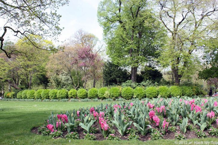 picture of Jardin du Luxembourg park