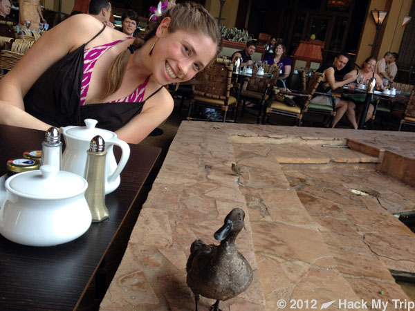 picture of Megan and a duck