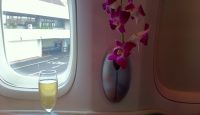 a glass of champagne next to a flower