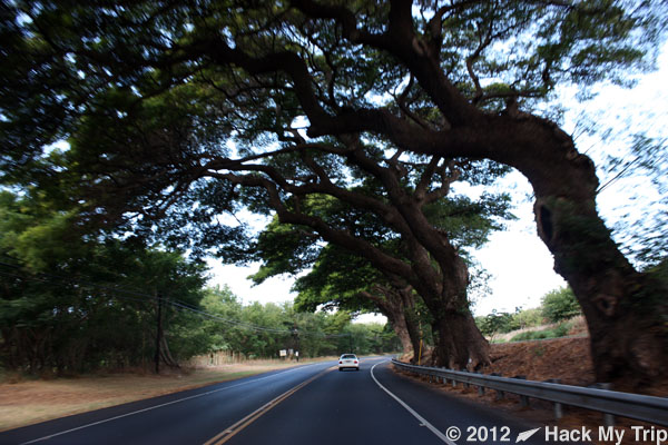 picture of a Hawaiian road