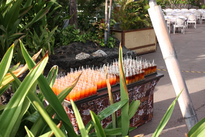 picture of trays of Mai Tais