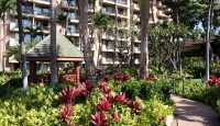 a garden with plants and trees in front of a building