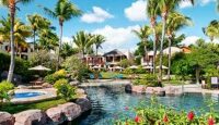 a pool with palm trees and buildings
