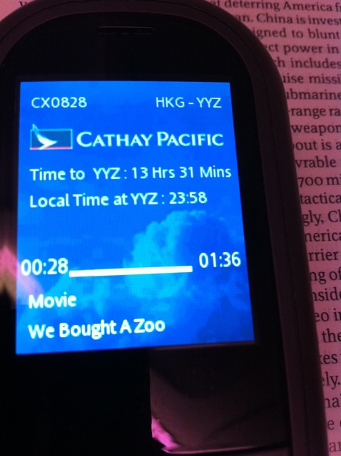 cathay_828_ife_remote