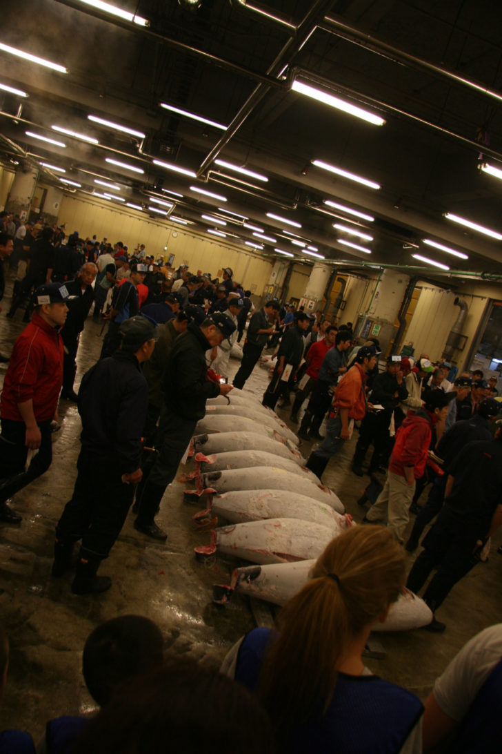 tokyo-tsukiji-auction-action