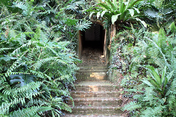 picture of a garden stairway