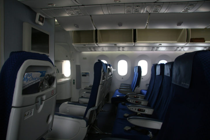 ana-787-economy-view