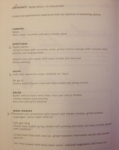 picture of airplane menu