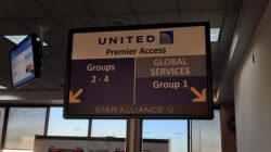 Is this United's Plan to Exterminate Gate Lice? I Hope So!