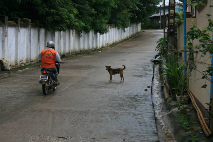 myanmar-taxi