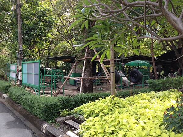 No jungle gyms for kids. Actual gyms in the jungle for adults.