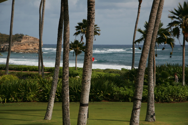 grand-hyatt-kauai-grounds