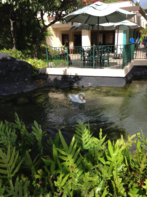 grand-hyatt-kauai-swan