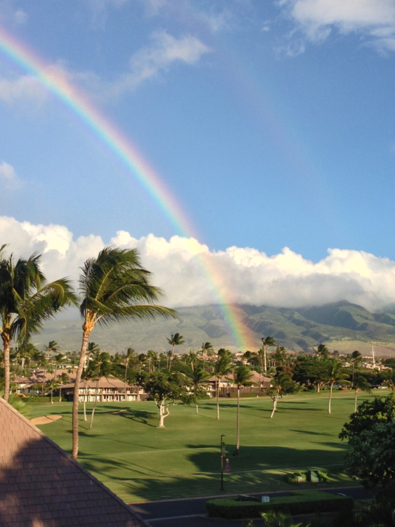 sheraton-maui-rainbows