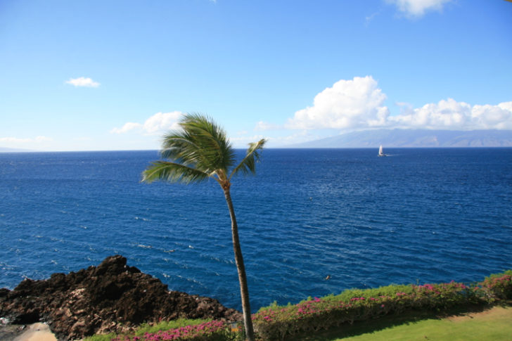 sheraton-maui-view