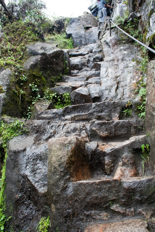 a stone stairs with a rope