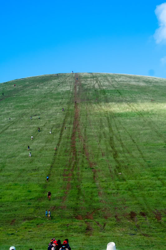 a group of people on a hill