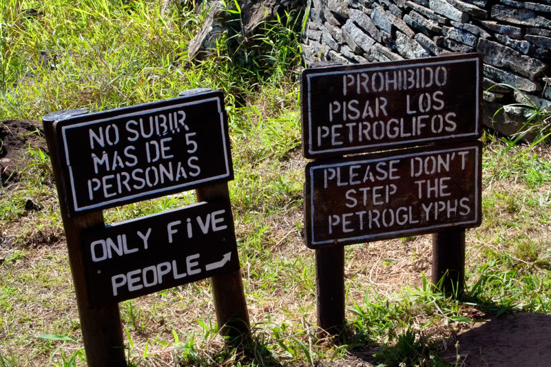 a group of signs in the grass