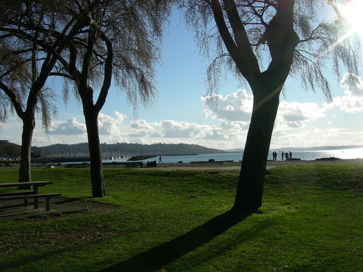 Golden Gardens