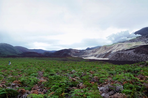 Galapagos1