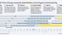 Avoid Jet Lag Like a Scientist