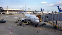 a plane at an airport